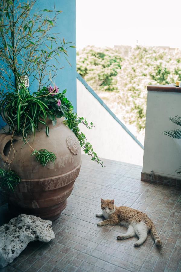 Juniper Bay Bed & Breakfast ปอร์โตสกูโซ ภายนอก รูปภาพ